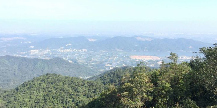 三水区大南山森林公园