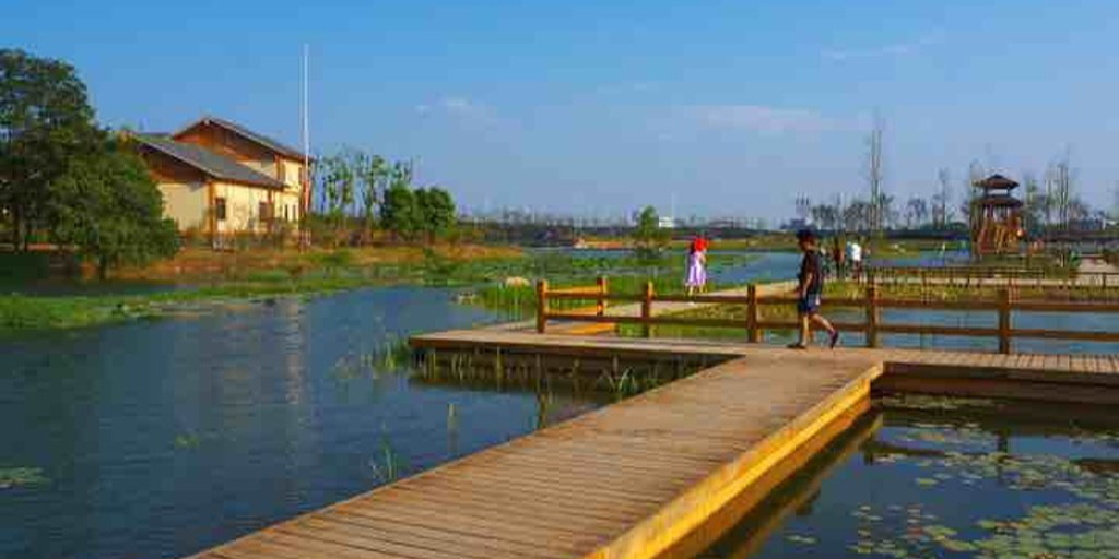 地址(位置,怎么去,怎么走):  长沙市岳麓区洋湖湿地公园内