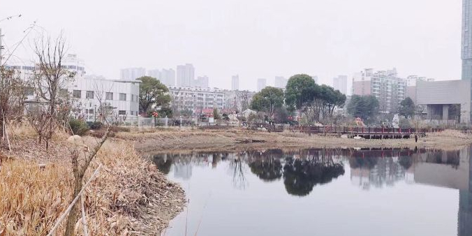 孟家湾湿地公园