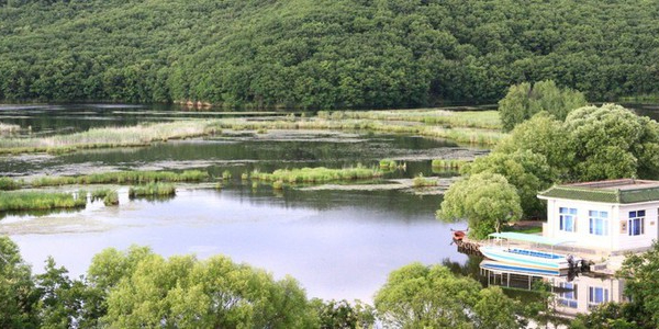 紫菱湖路生态园