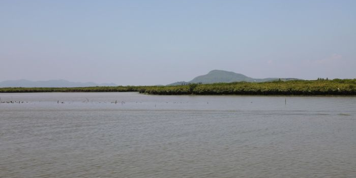 阳江市阳西县程村镇红光管理区厚幕山村东堡