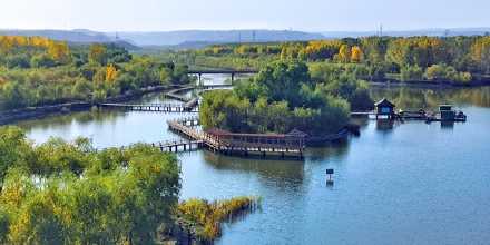 苍头河湿地公元