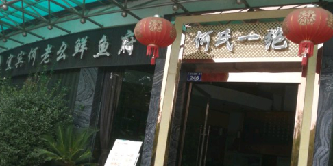 宜宾何老幺鲜鱼府(广元店)