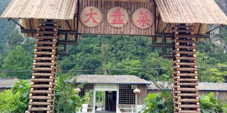 广西壮族自治区百色市靖西市湖润镇峒牌村下排屯(崇靖高速通灵互通出口往右300米)