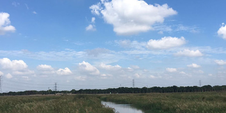 海宁市泰山水源湿地