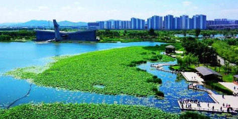 湖北阳新莲花湖国家湿地公园