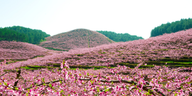 民和县桃花源景区