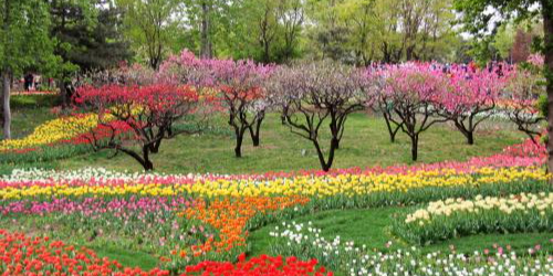 安丘市青云植物园