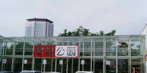 嬉皮童乐园