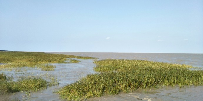 浦东南汇东滩湿地