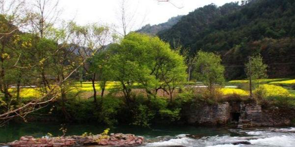 大垭口森岭山庄