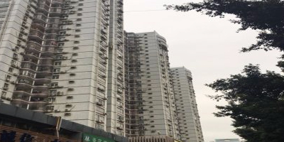 深圳市福田区园岭五街1号