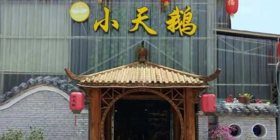 东园小天鹅农庄(荷富路店)