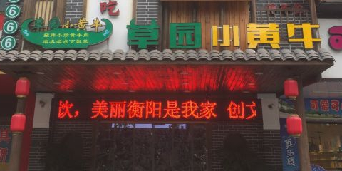 草原小黄牛(衡祁店)