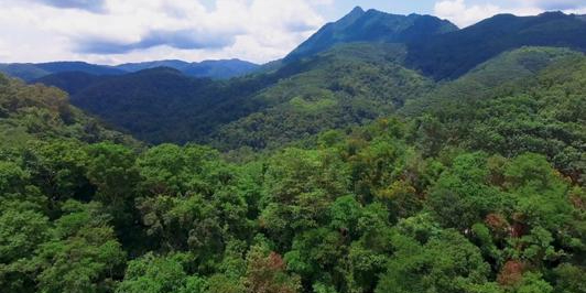 西双版纳国家级自然保护区