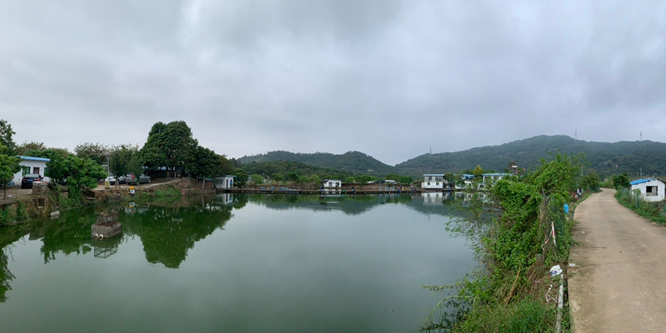 惠州镇隆山顶钓鱼场