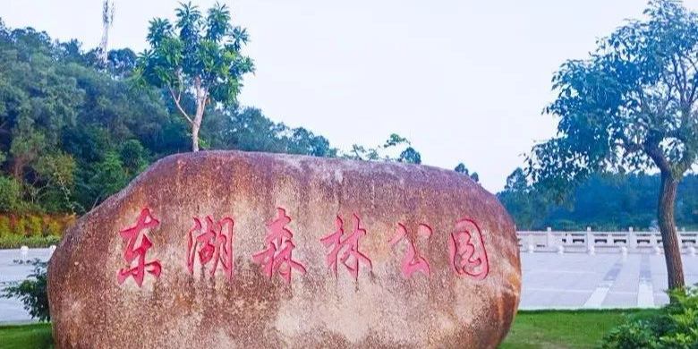 广东省阳江市阳西县东湖御苑商住小区对面