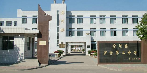 宁河去区芦台第三中学