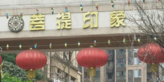 洋世达菩提印象