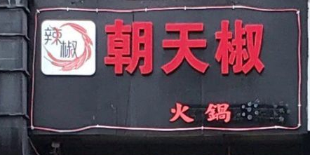 朝天椒活过(洋河店)