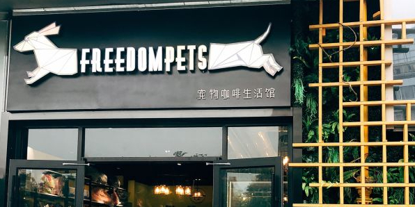 freedompets猫咖狗咖生活馆万达广场成都锦华路店