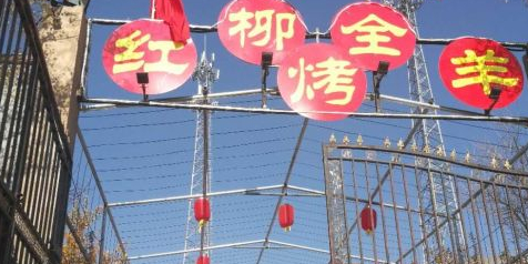 红枊烤全羊(葛家沟店)