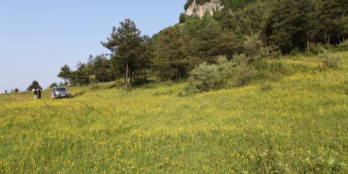 南阳沟亚高山草甸旅游区