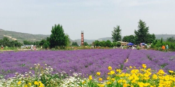 陕西省铜川市耀州区申河村(铜川新区申河香谷湿地公园)