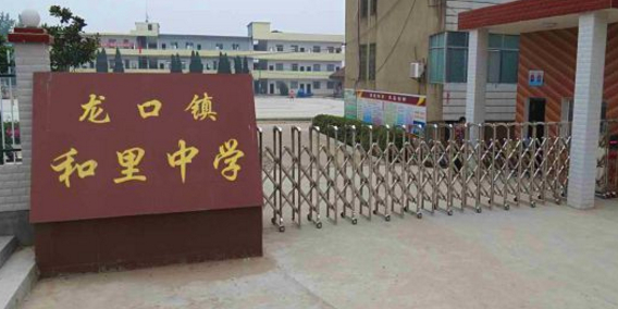 湖北省荆州市洪湖市龙口镇所有乡中心区