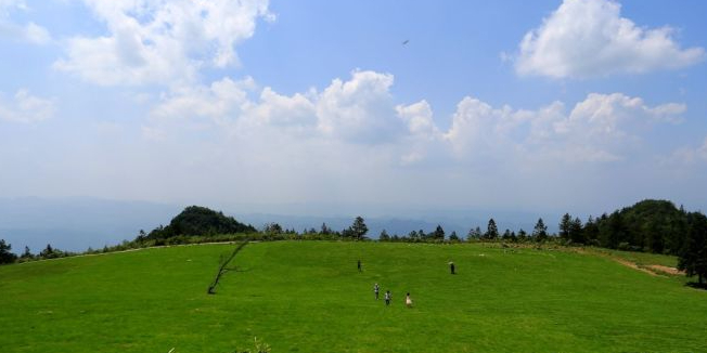 岐山草原