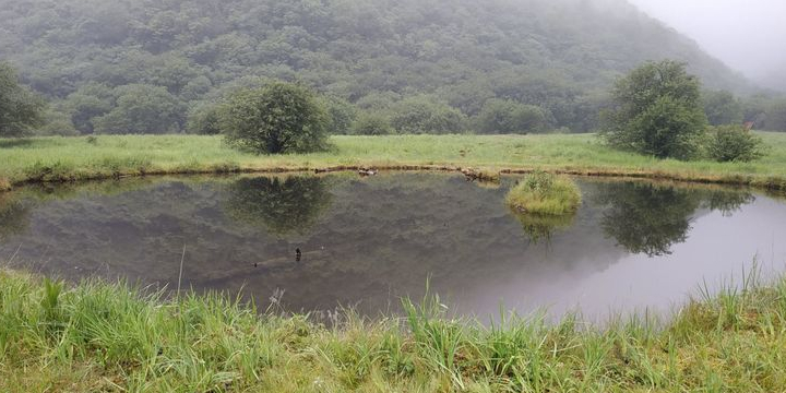 葱坪高山湿地公园