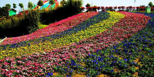 芒砀山海洋花海乐园