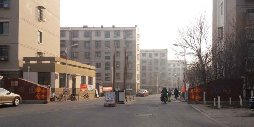 竹沁菊芳园