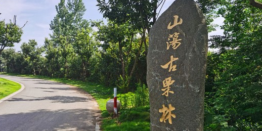 新河镇双荡村