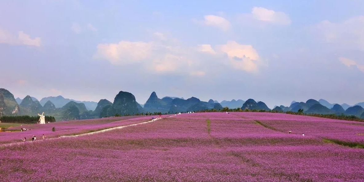 千亩花海旅游度假区