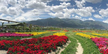 大理市海滨花卉园