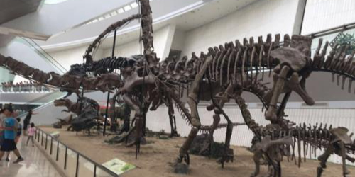 天津自然博物馆-科普基地