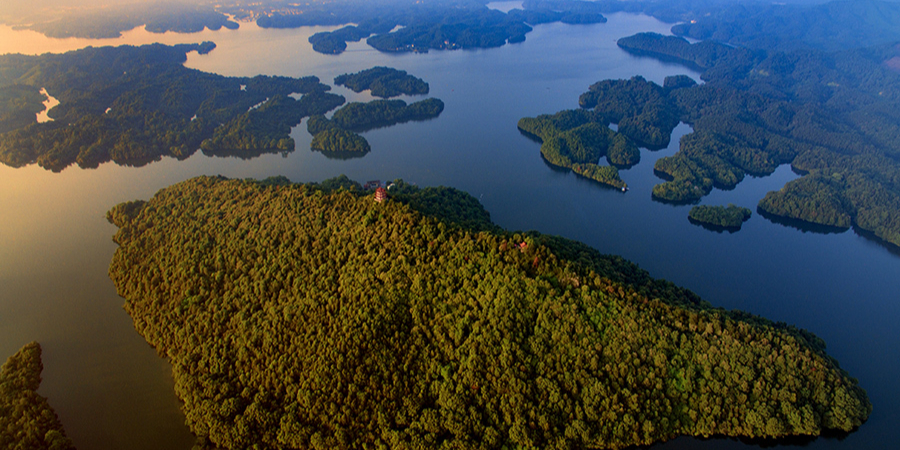 龙干岛