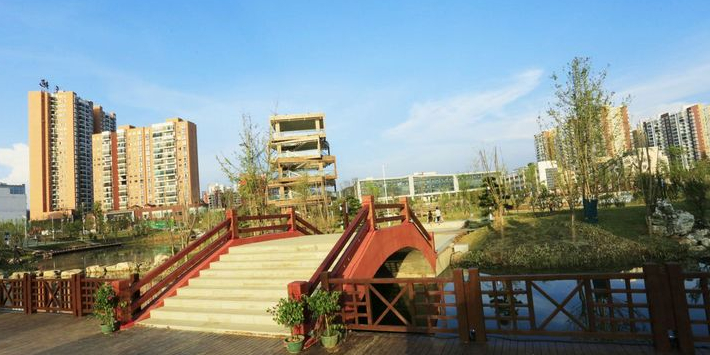 杨柳湾湿地公园