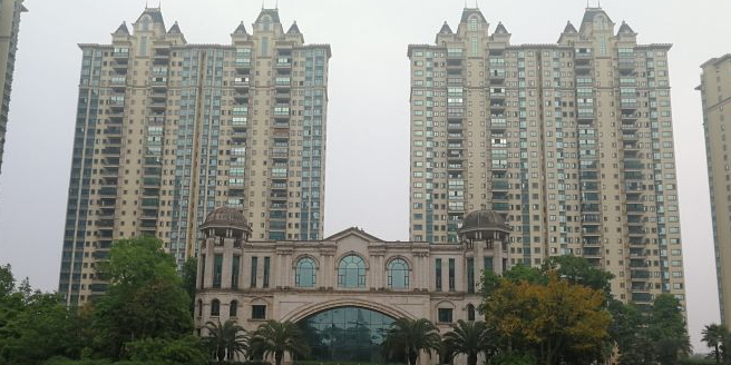 嘉丰御龙天峰