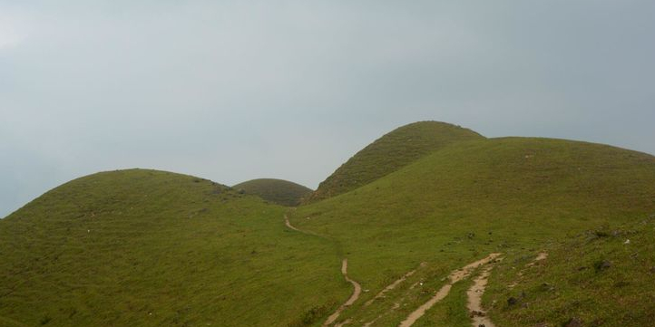 阳江市阳春市双滘镇七星村