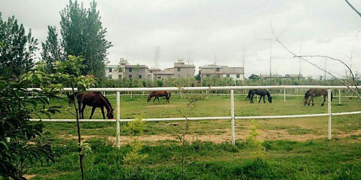 玉溪风情园练马区场