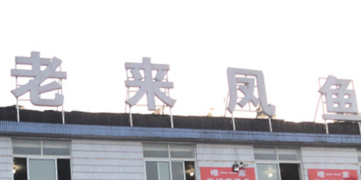 肖记老来凤鱼