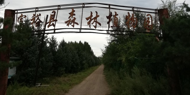 富裕县森林植物园