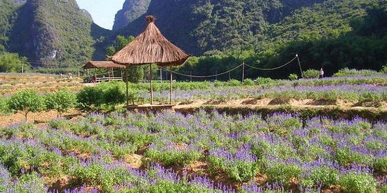 宝鸭山永久墓园