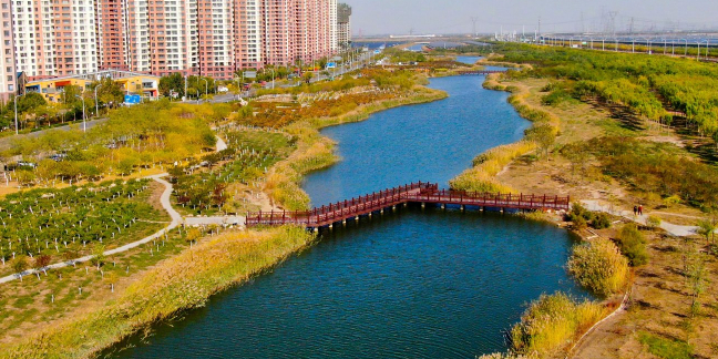 黄港生态休闲居住区较野公园