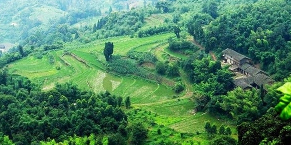 滚子萍风景区