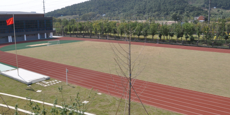 江苏省苏州市虎丘区旺巷廊街苏州高新区秦馀小学校