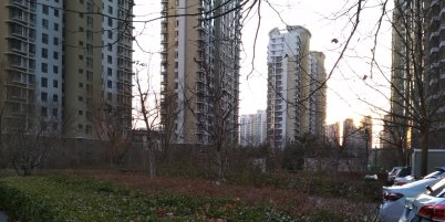 金海湾森林逸城-C区