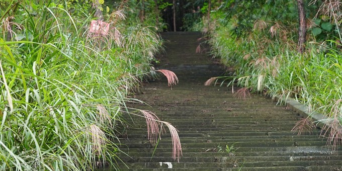 龙门镇步道